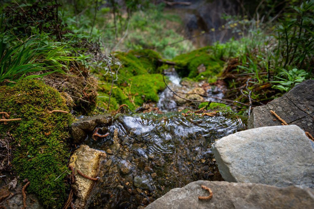 Wandeling naar Monte Colmegnone. Torrente Caraello.
